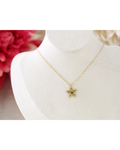 CO. Acier Doré-choco 